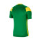 Dres Nike Park Derby III m/c