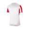 Nike Gestreepte Divisie IV s/s Jersey