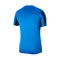 Nike Gestreepte Divisie IV s/s Jersey