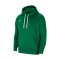 Bluza Nike con capucha Park 20 Fleece