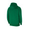 Felpa Nike con capucha Park 20 Fleece