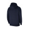 Felpa Nike con capucha Park 20 Fleece