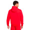 Felpa Nike con capucha Park 20 Fleece