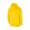 Nike Team Club 20-hoodie Sweatshirt