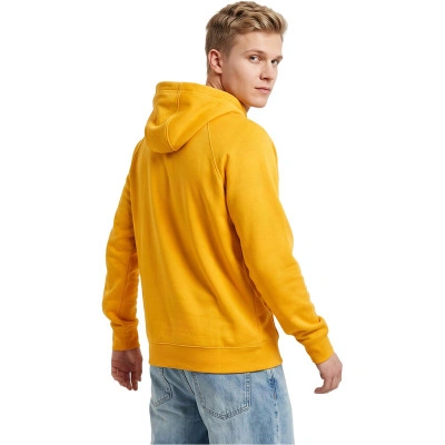 Sudadera con capucha Park 20 Fleece Mujer