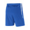 Nike Venom III Woven Shorts