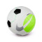 Nike Zaalvoetbal Pro- Team Bal