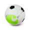 Nike Zaalvoetbal Pro- Team Bal