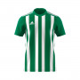 Striped 21 m/c Green-White