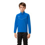 TeamRISE 1/4 Zip Kind-Elektrische blaue Limonade