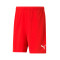 Pantaloncini Puma teamRISE