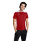 Camisola Joma Championship VI m/c