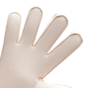 PALM-0