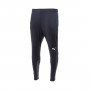 Valencia CF Training 2021-2022 Puma black-Puma white