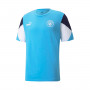 Manchester City FC Fanswear 2021-2022 Team Light Blue-Puma White
