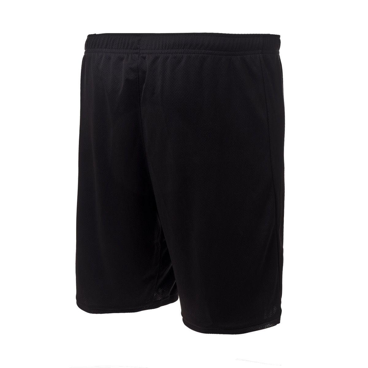 puma borussia shorts