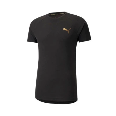 EvoStripe T-Shirt