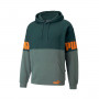 PUMA POWER Colorblock Hoodie FL Green gables