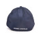 Under Armour Blitzing 3.0 Cap Cap