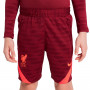 Liverpool FC Training 2021-2022 Niño Team red