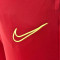 Nike Academy 21 Knit Trousers