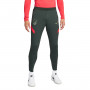 Atlético de Madrid Training 2021-2022 Outdoor Green-Global Red
