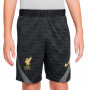 Liverpool FC Training 2021-2022 Niño Anthracite-Smoke Grey