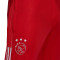 Pantalón largo Ajax de Ámsterdam Training 2021-2022 Team College Red