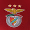 Sudadera SL Benfica Training 2021-2022 Team Power Red
