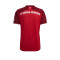 Camiseta FC Bayern de Múnich Primera Equipación 2021-2022 True Red