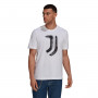 Juventus FC Fanswear 2021-2022 White
