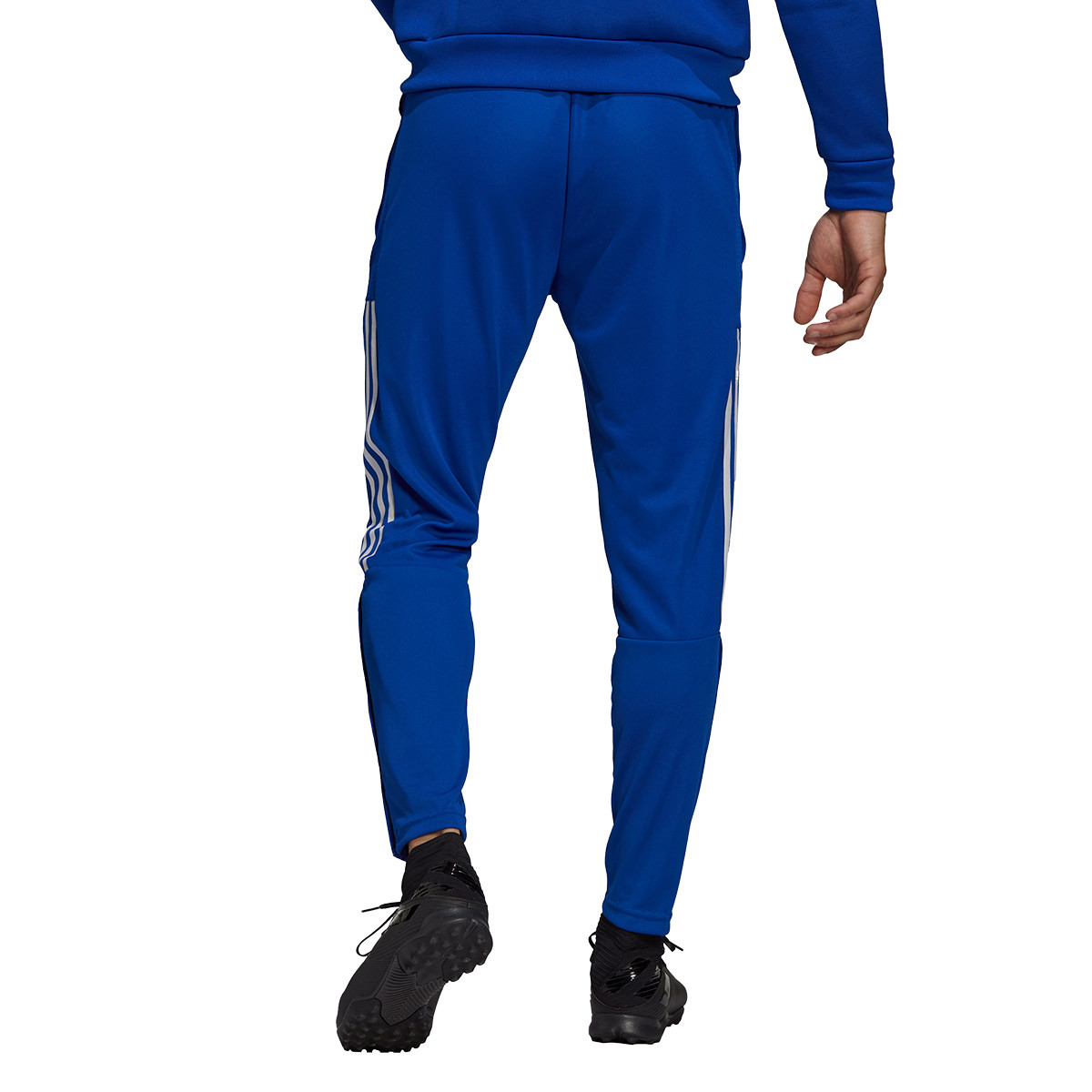 Pantalón largo adidas CA Boca Juniors Training 2021-2022 Power Blue -  Fútbol Emotion