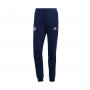 FC Bayern de Múnich Fanswear 2021-2022 Dark Blue