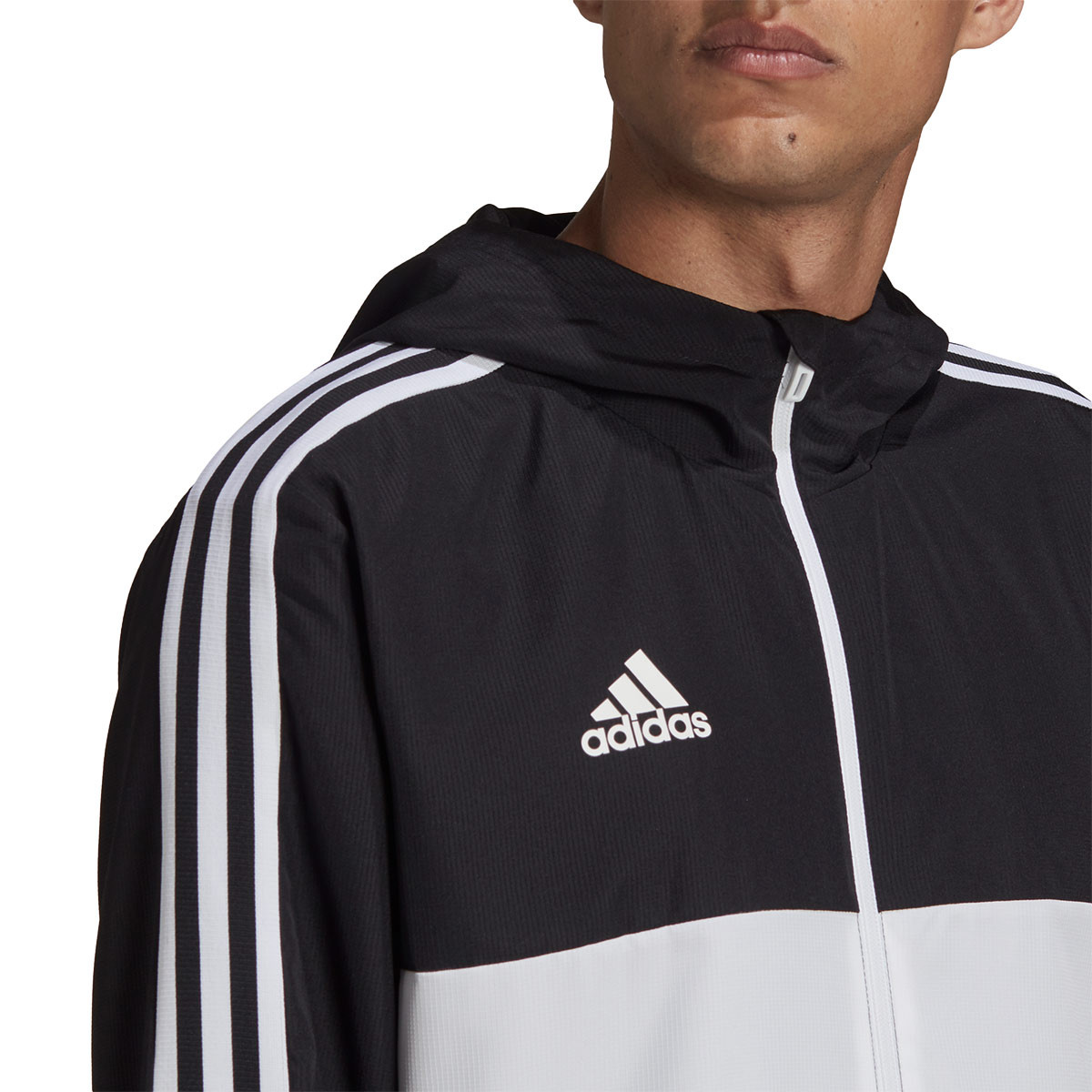 adidas Tiro Primeblue Training Pants - Purple | adidas Malaysia