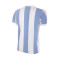 Camiseta Argentina 1960's Retro Blue-White