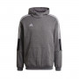 Tiro 21 Sweat Hoody Niño Grey Four