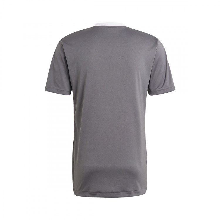 camiseta-adidas-tiro-21-training-mc-team-grey-four-1