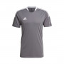 Tiro 21 Training s/s-Team grey four