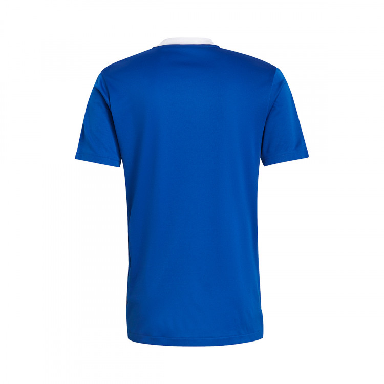 camiseta-adidas-tiro-21-training-mc-team-royal-blue-1