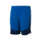 Under Armour HiIt Shorts