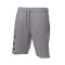 Under Armour Rival FLC-short met groot Shorts Shorts