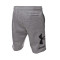 Under Armour Rival FLC-short met groot Shorts Shorts