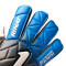 Guante Fenix Superior Basic Blue