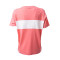 Camiseta Rubby Blocked Tea rose-Snow white