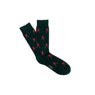Chaussettes Portugal 2016
