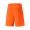Short Puma teamRISE