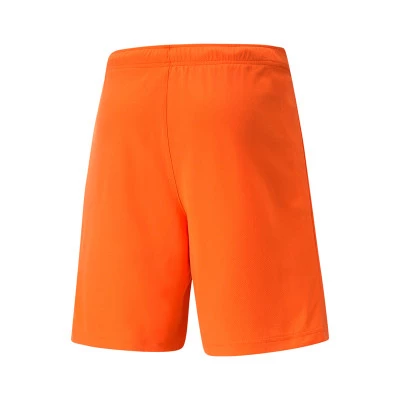 teamRISE Shorts