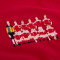 Camiseta Denmark 1992 European Champions Red