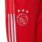 Pantalón largo Ajax de Ámsterdam Training 2021-2022 Niño Team College Red