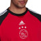 Camiseta Ajax de Ámsterdam Fanswear 2021-2022 Bold Red